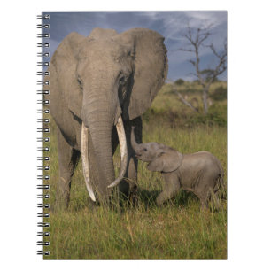 Cutest Baby Animals   Amama Elephant With Baby Notebook