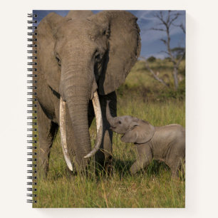 Cutest Baby Animals Amama Elephant With Baby Notebook