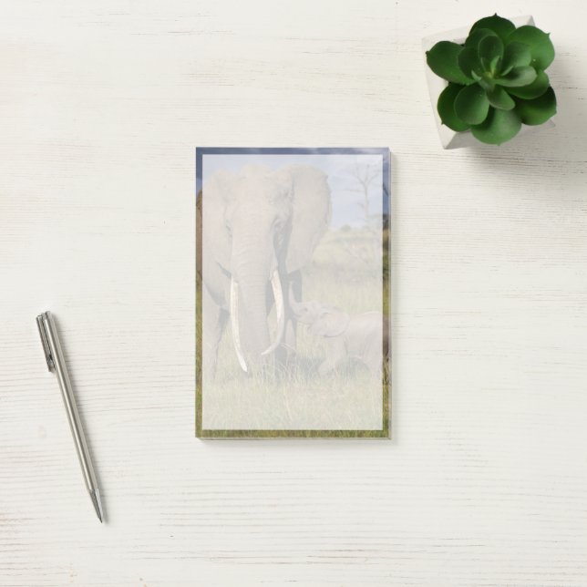 Cutest Baby Animals | Amama Elephant With Baby Post-it Notes (Office)