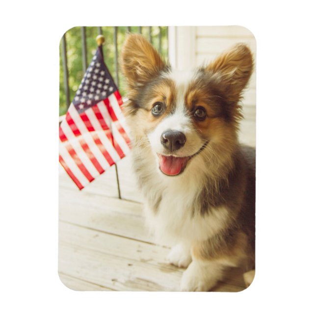 Cutest Baby Animals | American Flag Corgi Magnet (Vertical)