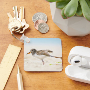 Cutest Baby Animals American Oystercatcher Chick Keychain