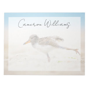Cutest Baby Animals   American Oystercatcher Chick Notepad