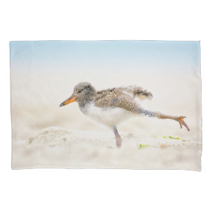 Cutest Baby Animals American Oystercatcher Chick Pillowcase