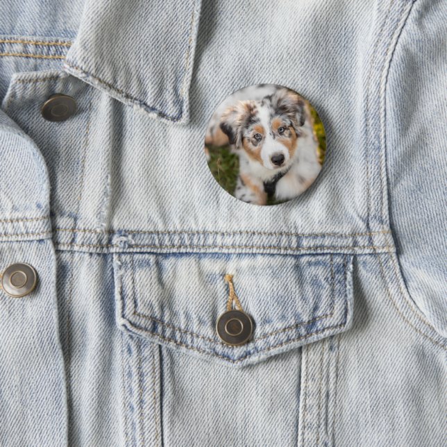 Cutest Baby Animals | Australian Shepherd Puppy 2 Inch Round Button (In Situ)