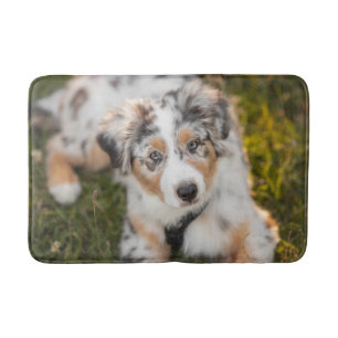 Cutest Baby Animals   Australian Shepherd Puppy Bath Mat