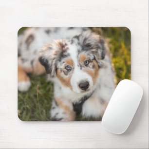Cutest Baby Animals Australian Shepherd Puppy Mouse Pad