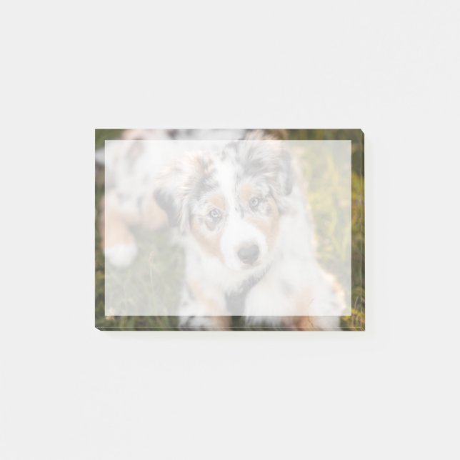 Cutest Baby Animals | Australian Shepherd Puppy Post-it Notes (Front)