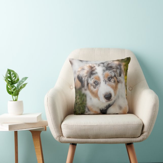 Cutest Baby Animals | Australian Shepherd Puppy Throw Pillow (Chair)