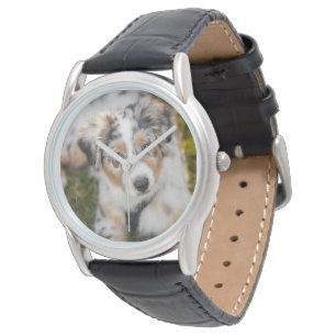 Cutest Baby Animals   Australian Shepherd Puppy Watch