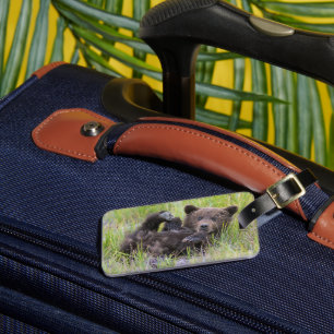 Cutest Baby Animals   Baby Brown Bear Cub Luggage Tag