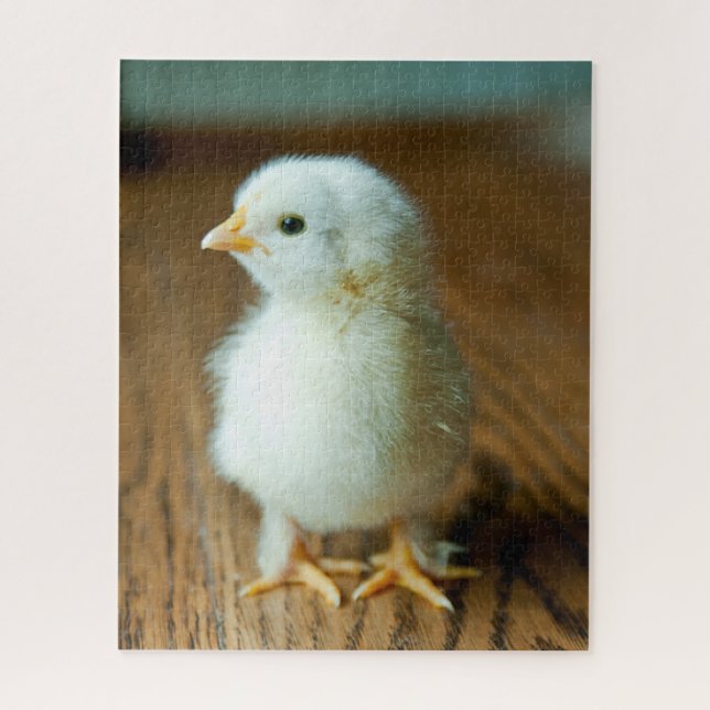 Cutest Baby Animals | Baby Chick Jigsaw Puzzle (Vertical)