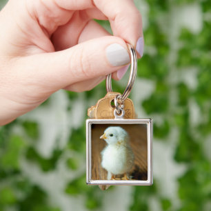 Cutest Baby Animals Baby Chick Keychain