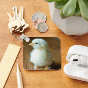 Cutest Baby Animals   Baby Chick Keychain