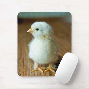 Cutest Baby Animals Baby Chick Mouse Pad