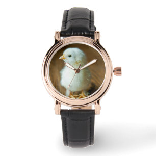 Cutest Baby Animals   Baby Chick Watch