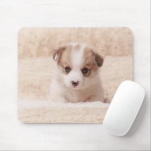 Cutest Baby Animals   Baby Corgi Mouse Pad