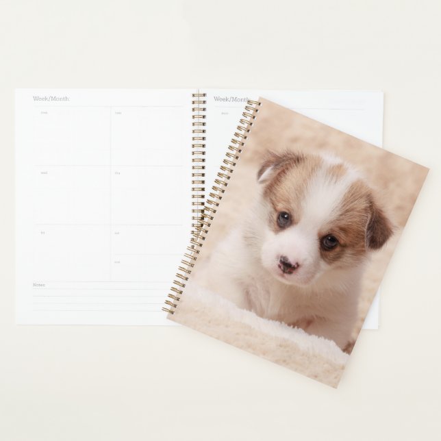 Cutest Baby Animals | Baby Corgi Planner (Display)