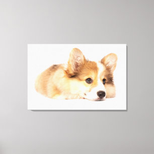 Cutest Baby Animals   Baby Corgi Puppy Portrait Canvas Print
