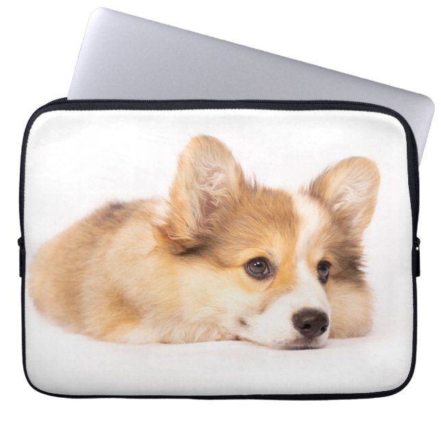 Cutest Baby Animals | Baby Corgi Puppy Portrait Laptop Sleeve (Front)