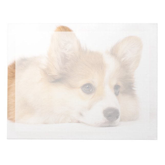 Cutest Baby Animals | Baby Corgi Puppy Portrait Notepad (Front)