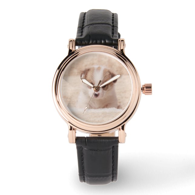 Cutest Baby Animals | Baby Corgi Watch (Front)