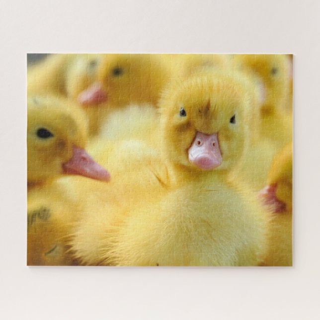 Cutest Baby Animals | Baby Duck Group Jigsaw Puzzle (Horizontal)