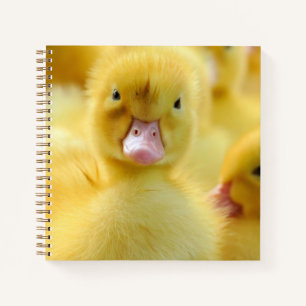 Cutest Baby Animals Baby Duck Group Notebook