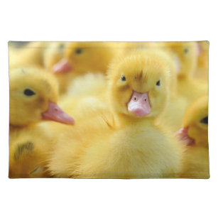 Cutest Baby Animals   Baby Duck Group Placemat