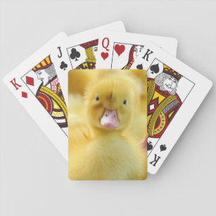 Cutest Baby Animals   Baby Duck Group Playing Cards
