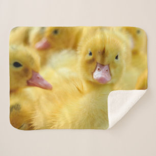 Cutest Baby Animals   Baby Duck Group Sherpa Blanket