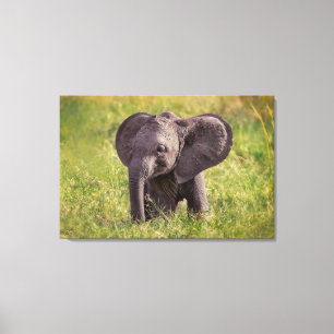 Cutest Baby Animals   Baby Elephant Kenya Africa Canvas Print