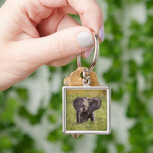 Cutest Baby Animals   Baby Elephant Kenya Africa Keychain