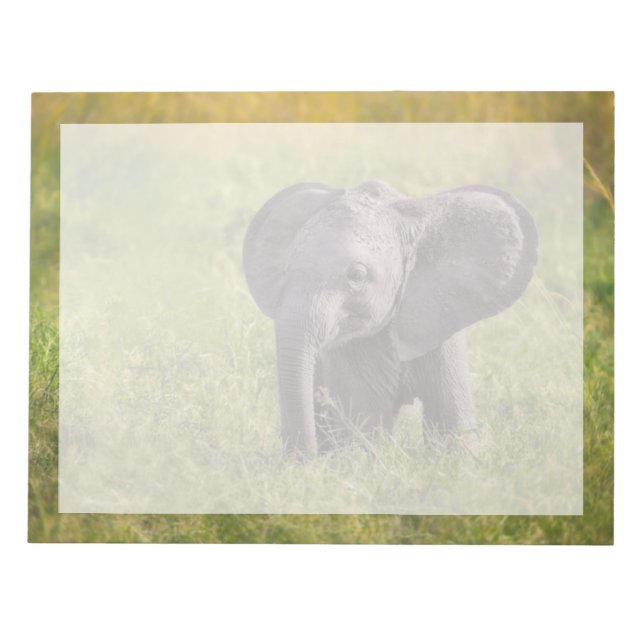 Cutest Baby Animals | Baby Elephant Kenya Africa Notepad (Front)