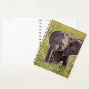 Cutest Baby Animals   Baby Elephant Kenya Africa Planner