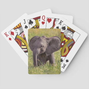 Cutest Baby Animals   Baby Elephant Kenya Africa Playing Cards