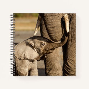 Cutest Baby Animals   Baby Elephant & Mama Notebook