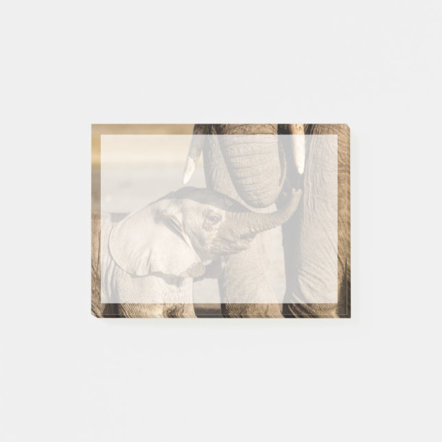 Cutest Baby Animals | Baby Elephant & Mama Post-it Notes (Front)