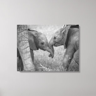 Cutest Baby Animals Baby Elephants Greeting Canvas Print