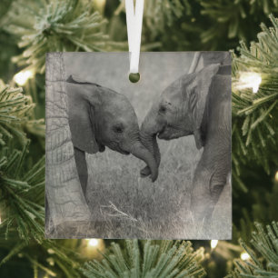 Cutest Baby Animals   Baby Elephants Greeting Glass Ornament