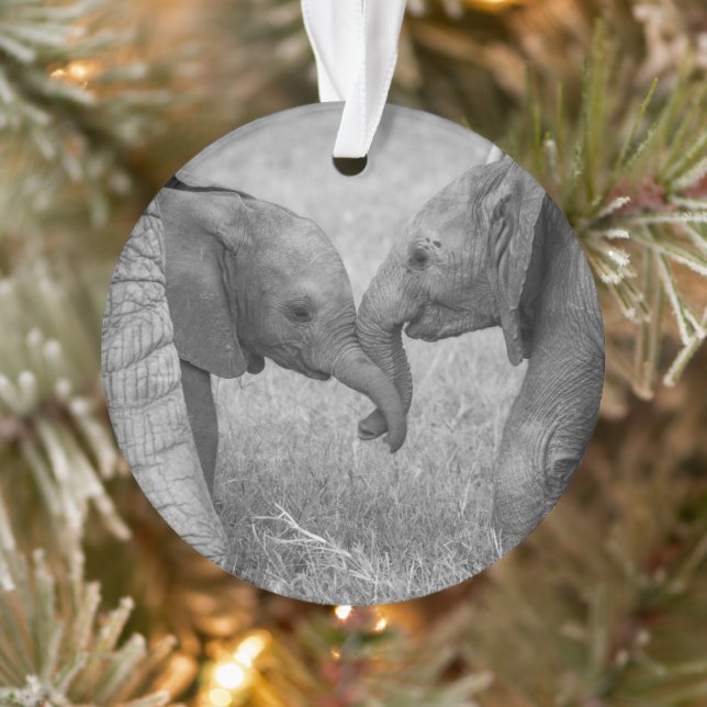 Cutest Baby Animals | Baby Elephants Greeting Ornament (Tree)