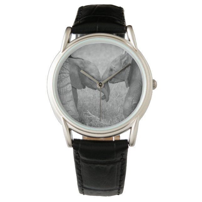 Cutest Baby Animals | Baby Elephants Greeting Watch (Front)