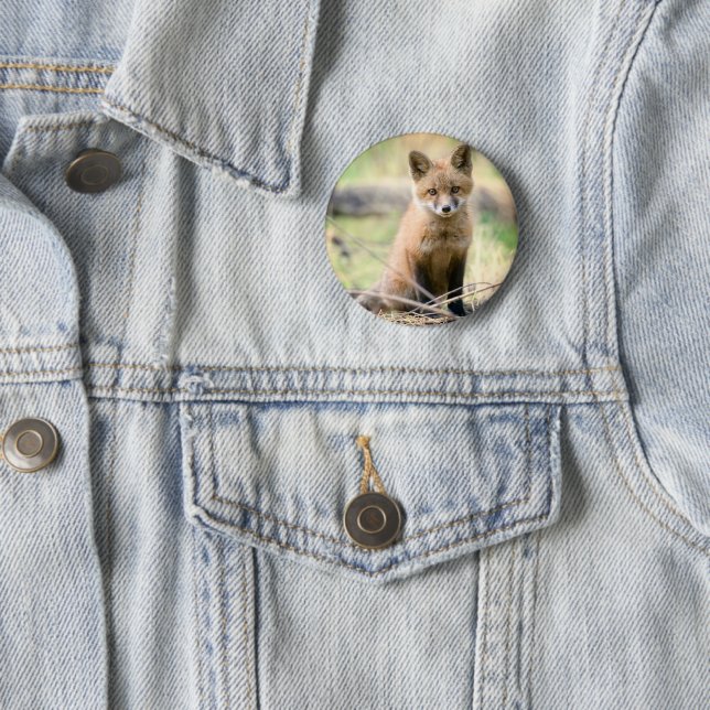 Cutest Baby Animals | Baby Fox 2 Inch Round Button (In Situ)