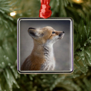 Cutest Baby Animals   Baby Fox Portrait Metal Ornament