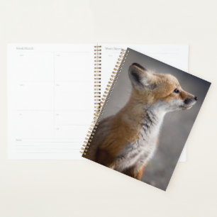 Cutest Baby Animals   Baby Fox Portrait Planner