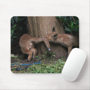 Cutest Baby Animals   Baby Foxes Playing Mouse Pad