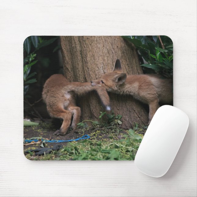 Cutest Baby Animals | Baby Foxes Playing Mouse Pad (With Mouse)