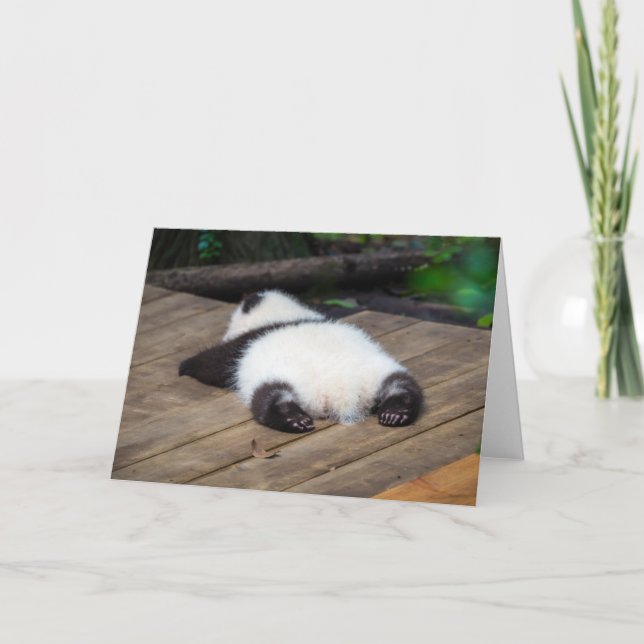 Cutest Baby Animals | Baby Giant Panda Sleeping Card (Front)