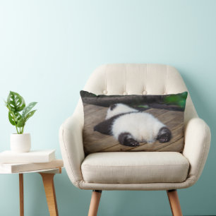 Cutest Baby Animals Baby Giant Panda Sleeping Lumbar Pillow
