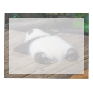 Cutest Baby Animals Baby Giant Panda Sleeping Notepad