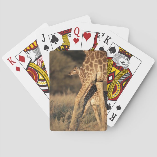 Cutest Baby Animals | Baby Giraffe & Parent Playing Cards (Back)